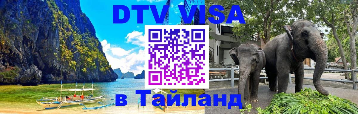 Сколько стоит DTV виза — актуальные цены, оформление даже без документов - Новосибирск  10.01.2026 